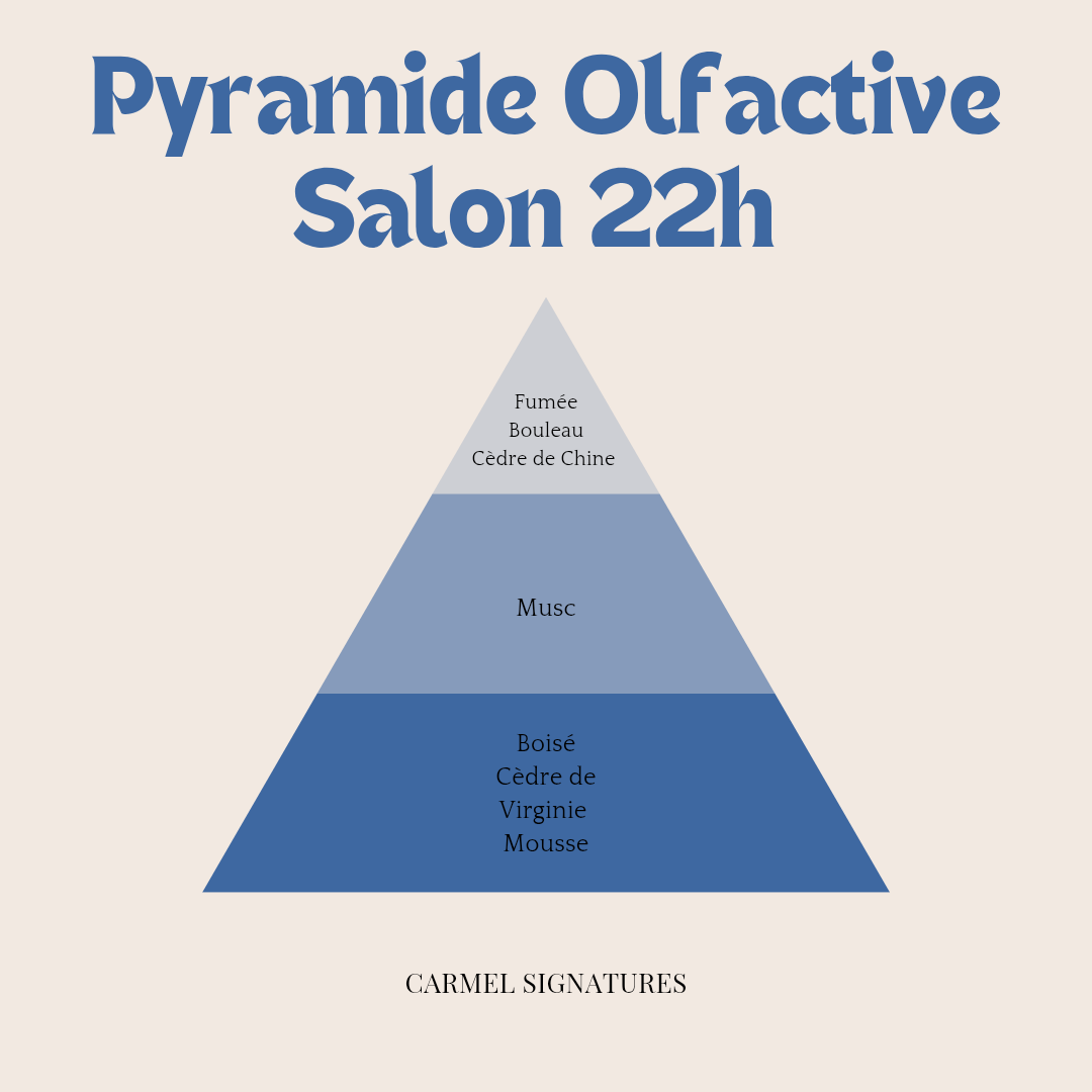 Salon 22h : parfum d'ambiance 100ml