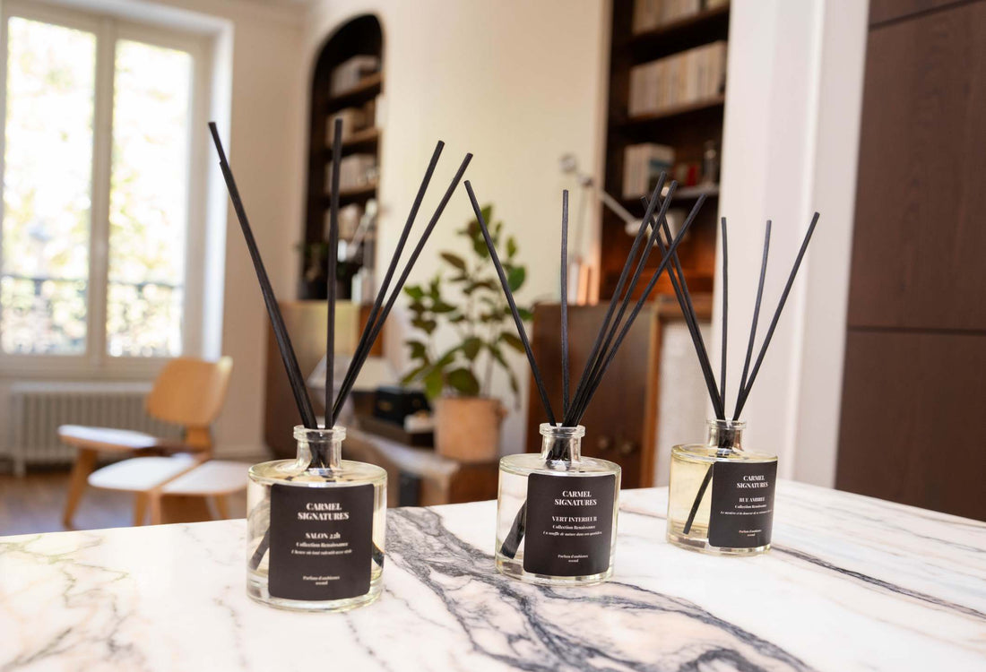 Pourquoi on ne choisit jamais un parfum d’ambiance par hasard ?