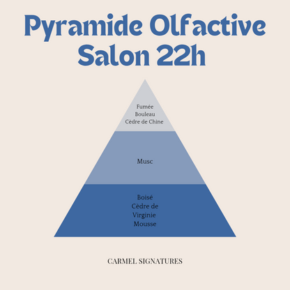 Salon 22h : parfum d'ambiance 100ml